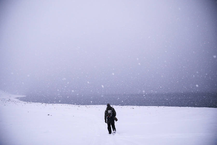 Svalbard Falling Snow Wallpaper