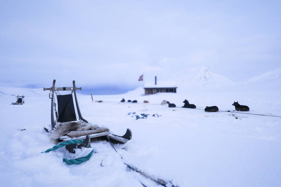 Svalbard Ice Sleds Wallpaper