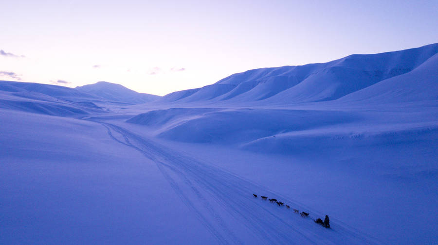 Svalbard Purple Sky Glaciers Wallpaper