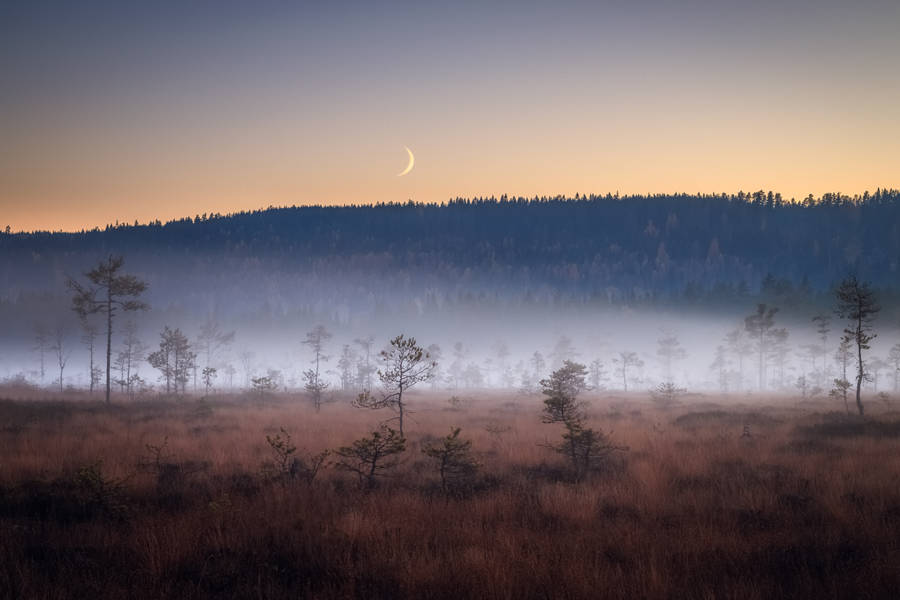 Sweden Koppom Dusky Sky Wallpaper