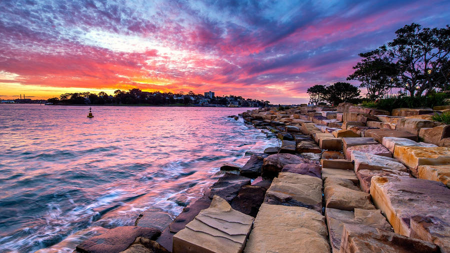 Sydney Barangaroo Reserve Wallpaper