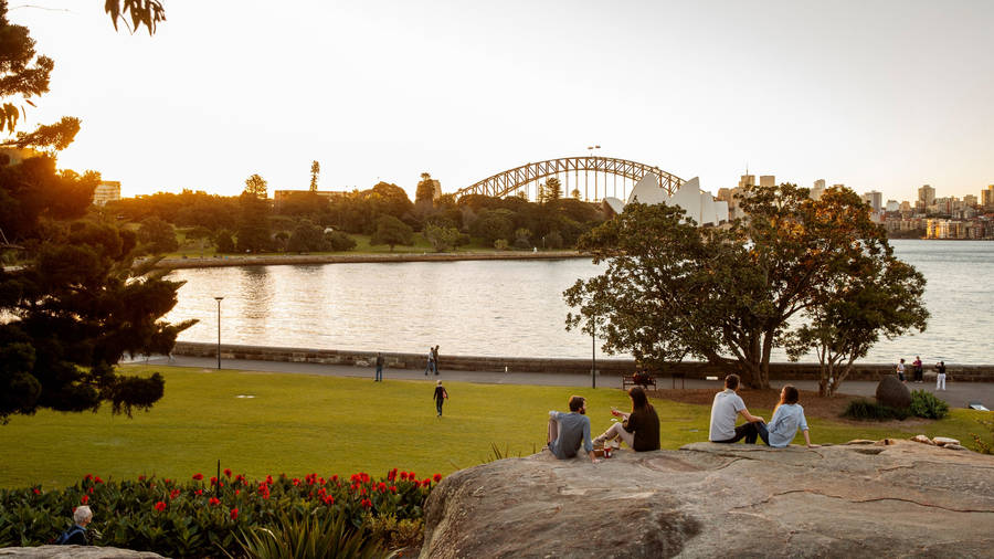 Sydney Royal Botanic Garden Wallpaper