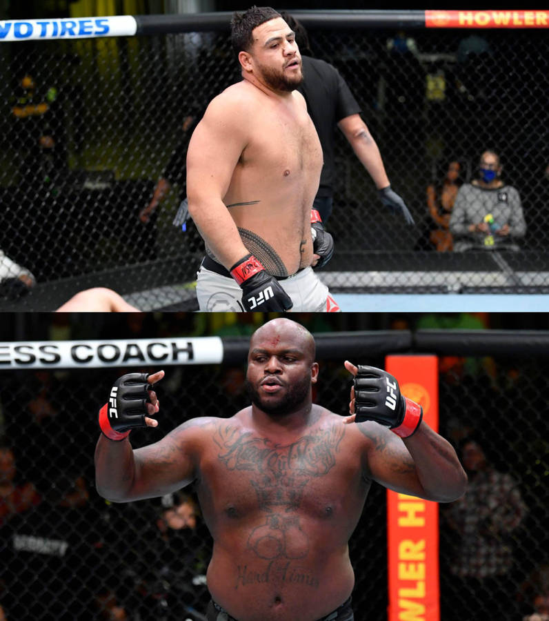 Tai Tuivasa And Derrick Lewis Wallpaper