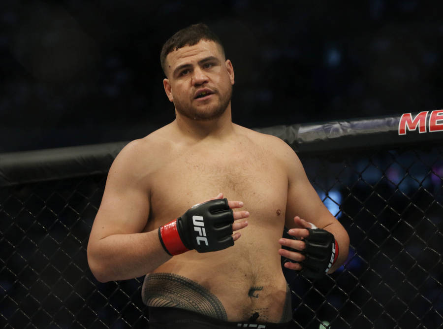 Tai Tuivasa With Grappling Gloves Wallpaper