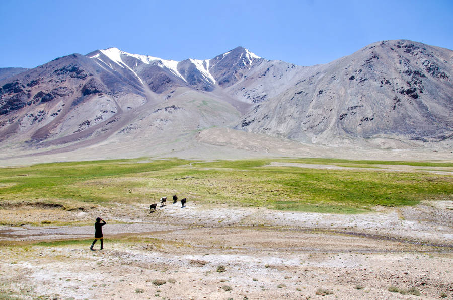 Tajikistan Pamir Mountains Shepherd Wallpaper