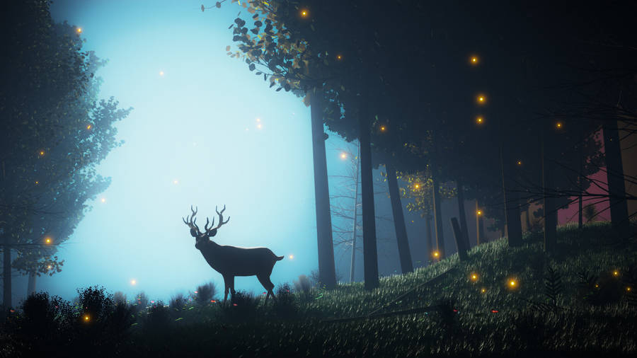 Take A Mystical Journey Into A Tranquil Forest Wallpaper