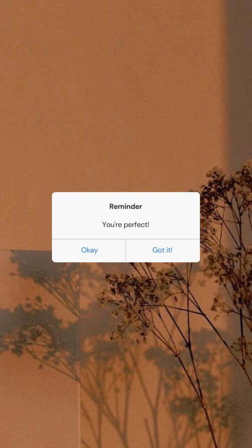 Take A Step Back And Pause With “aesthetic Reminder” Wallpaper