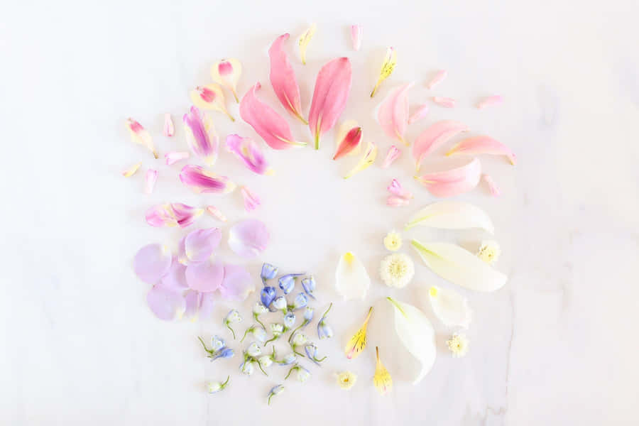 Take A Stroll Through The Charming Pastel Summer Wallpaper