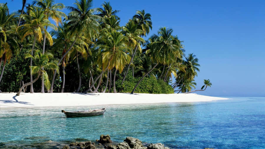 Take A Walk In Paradise. Wallpaper