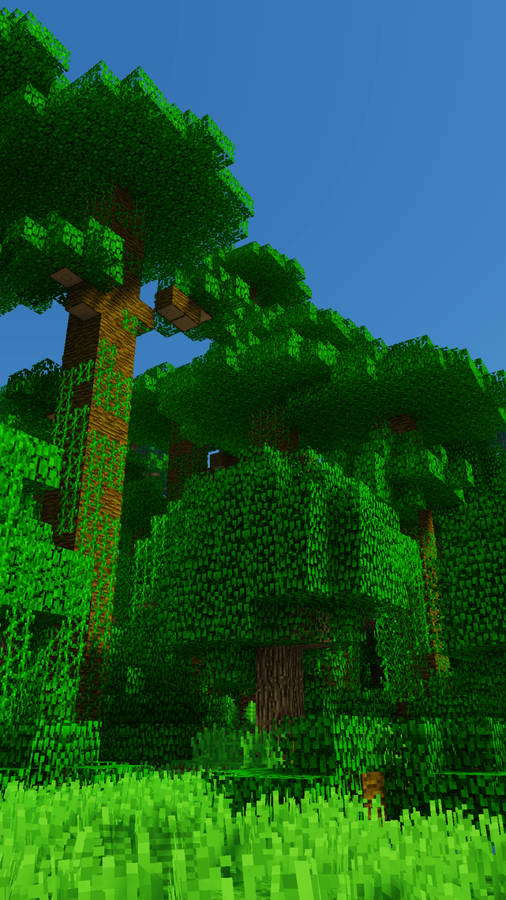 Tall Trees Best Minecraft Wallpaper