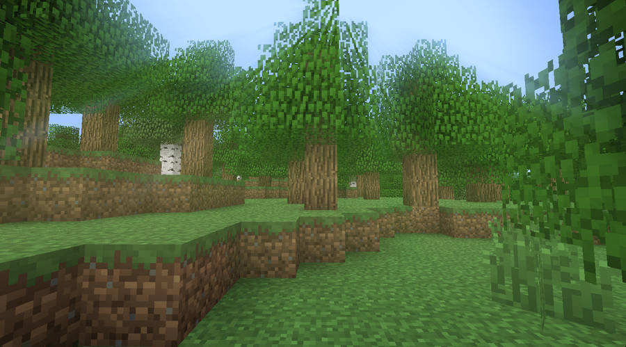 Tall Trees In Minecraft Landscape Wallpaper