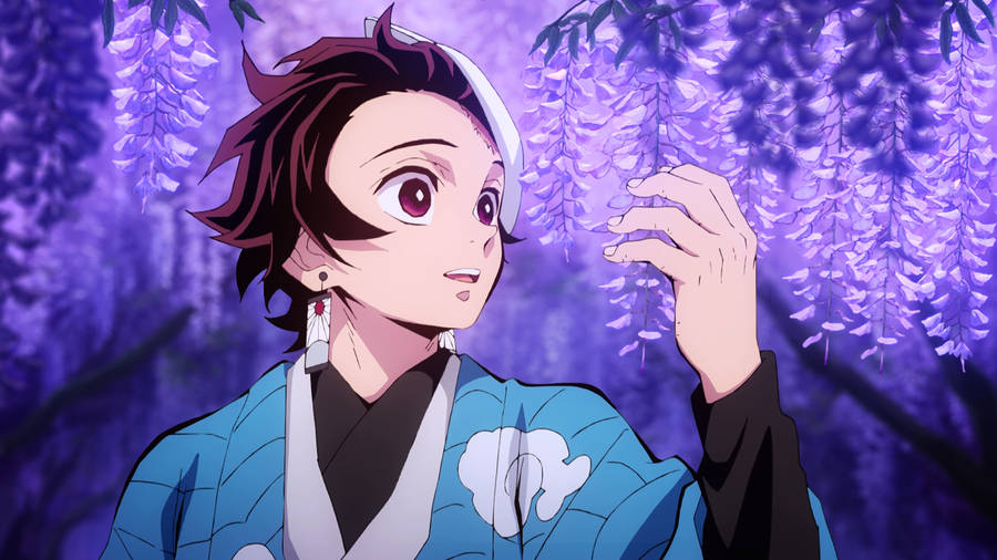 Tanjiro Pfp Purple Wisteria Flower Wallpaper