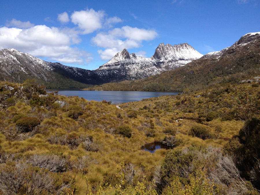 Tasmania Cradle Mountain Small Lake Wallpaper