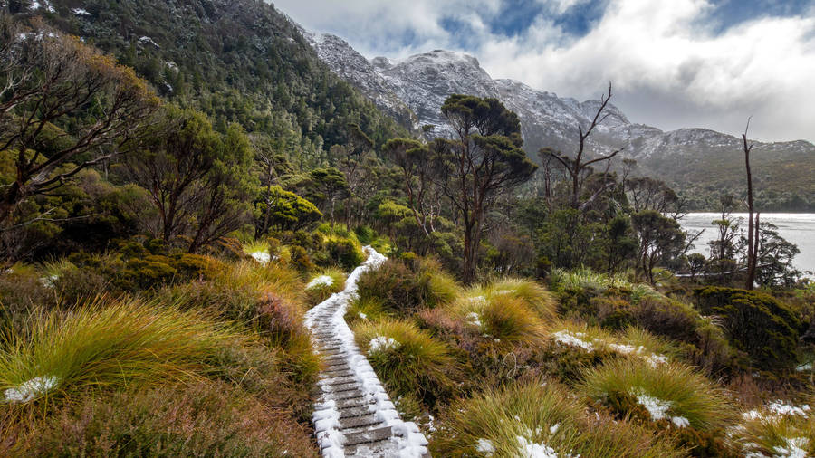 Tasmania Cradle Mountain Wallpaper