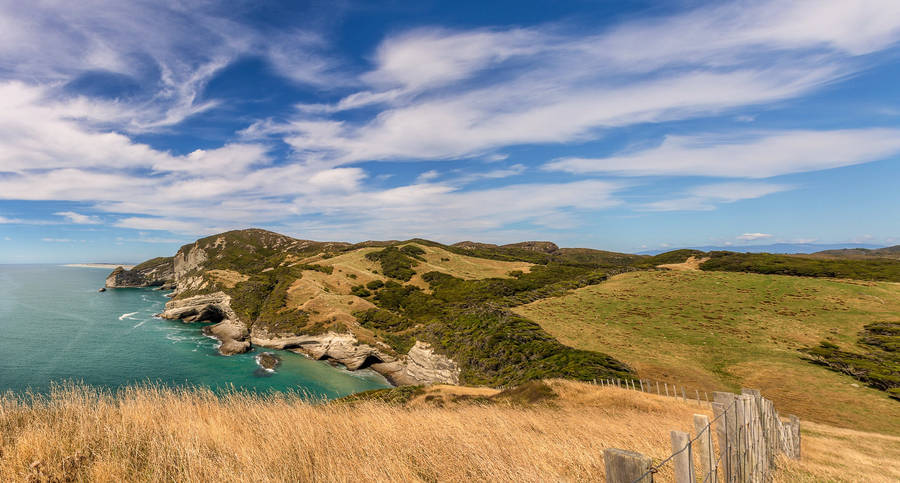 Tasmania Grassy Sea Wallpaper