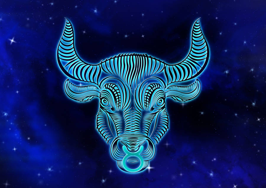 Taurus Zodiac Bull Head Wallpaper