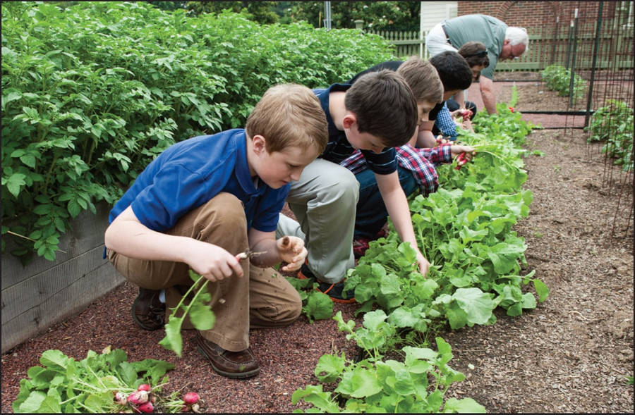 Teacher And Students Gardening Wallpaper