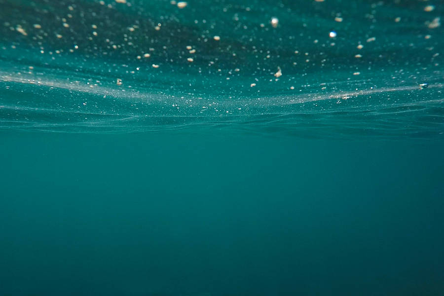 Teal Under The Sea Wallpaper