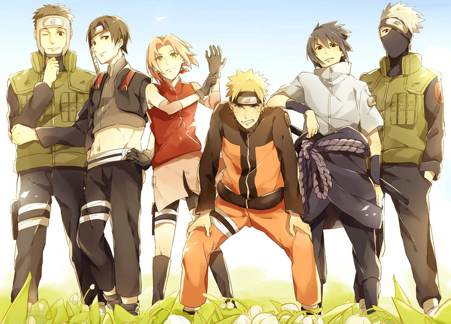 Team 7 Group Photo Wallpaper