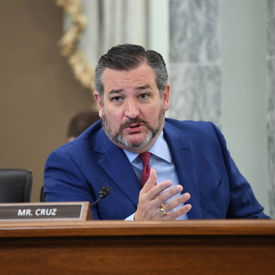 Ted Cruz On His Seat At The Senate Wallpaper