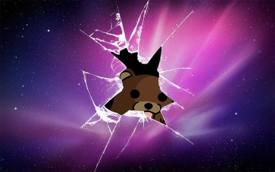 Teddy Bear Broken Computer Screen Wallpaper