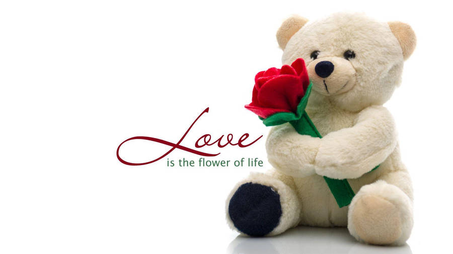 Teddy Bear With Flower Wallpaper