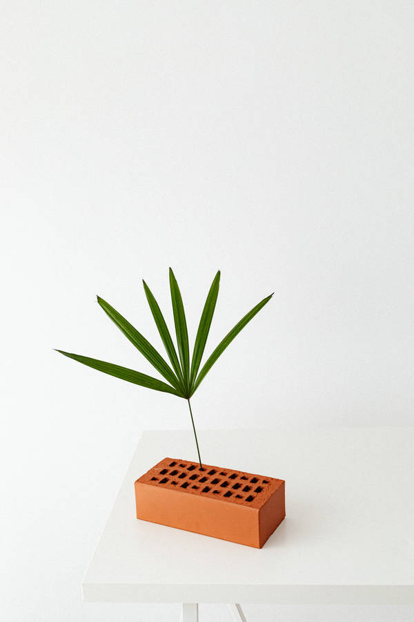 Terracotta Brick On Green Minimalist Display Wallpaper