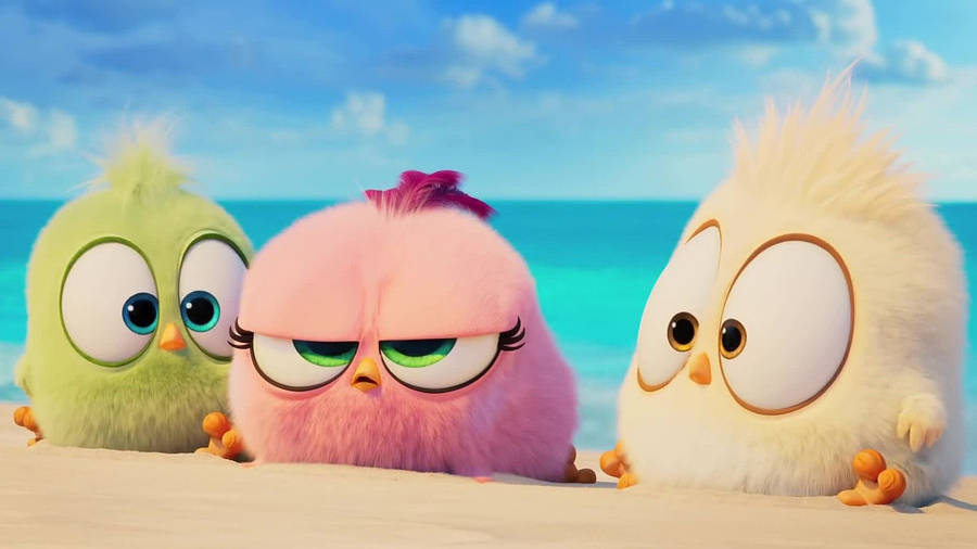 The Angry Birds Movie 2 1920 X 1080 Wallpaper