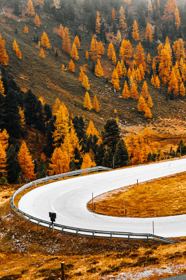 The Best Hd Phone Austrian Nockalm Road Fall Wallpaper