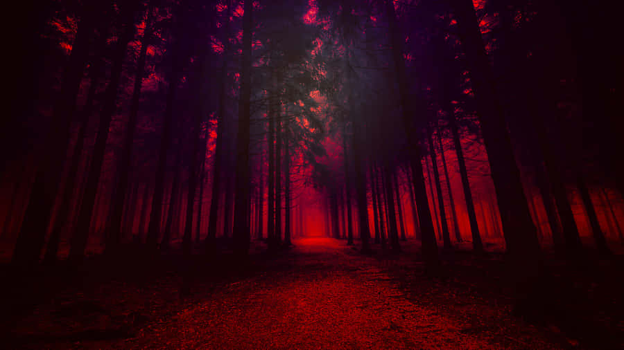 The Breathtaking View Of Red Forest, Nature's Masterpiece Wallpaper