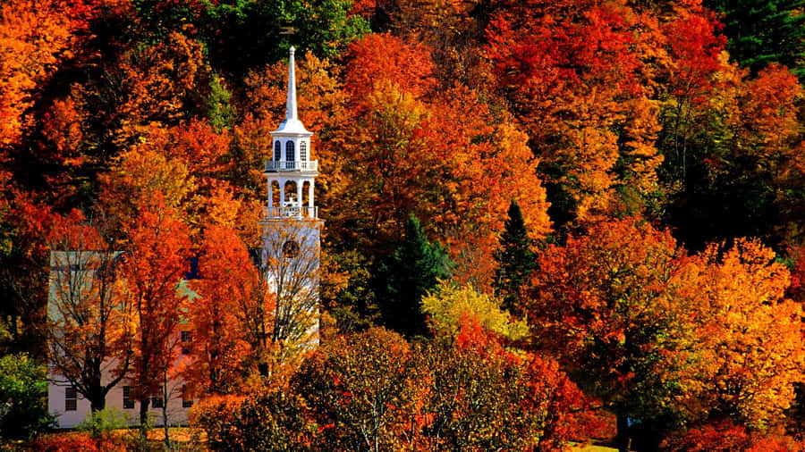 The Changing Of The Season Is Painted With Vibrant Pops Of Color. Wallpaper
