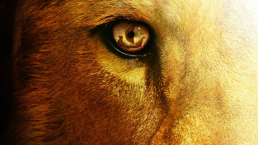 The Chronicles Of Narnia Aslan Eye Wallpaper