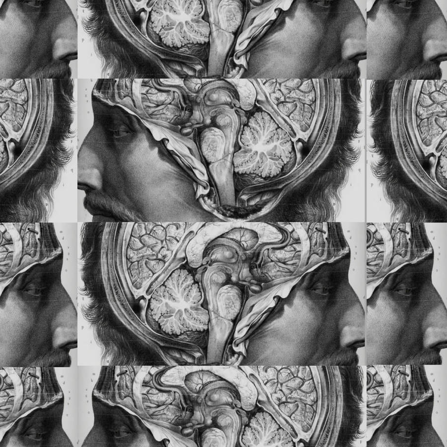 The Good Doctor Brain Intro Image Wallpaper