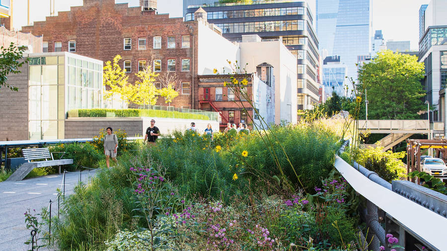 The High Line And Buildings Wallpaper