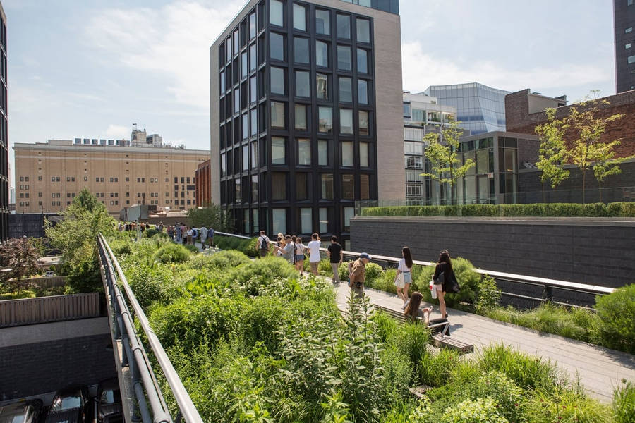 The High Line Park Tourists Around Wallpaper