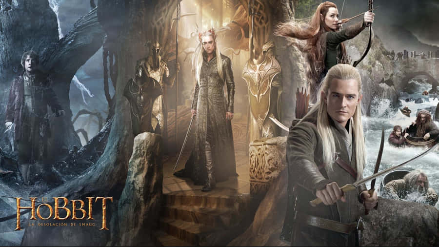 The Hobbit Desolationof Smaug Characters Wallpaper