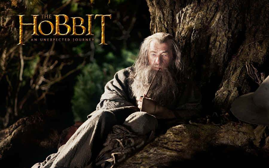 The Hobbit Wizardin Contemplation Wallpaper