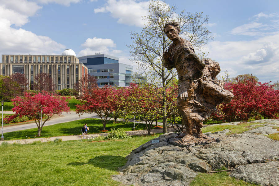 The Iconic Statue Of Louis Brandeis At Brandeis University Wallpaper