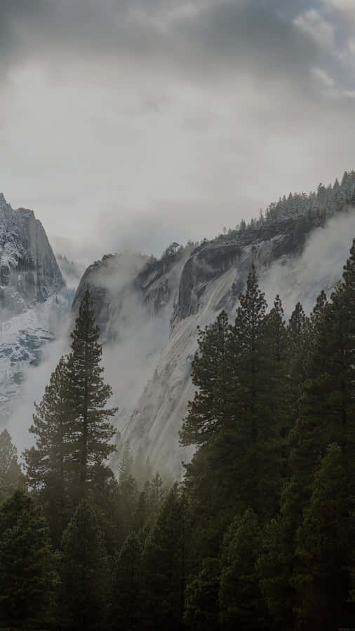 The Immense Stillness Of Dark Nature Wallpaper