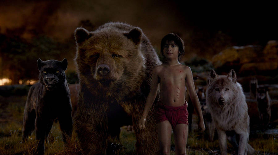 The Jungle Book Mowgli Friends Wallpaper