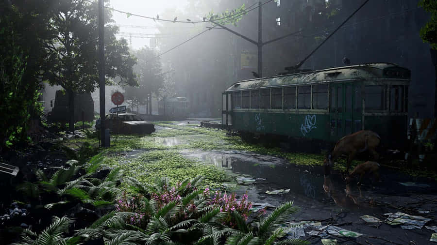 The Last Of Us - Screenshots Wallpaper