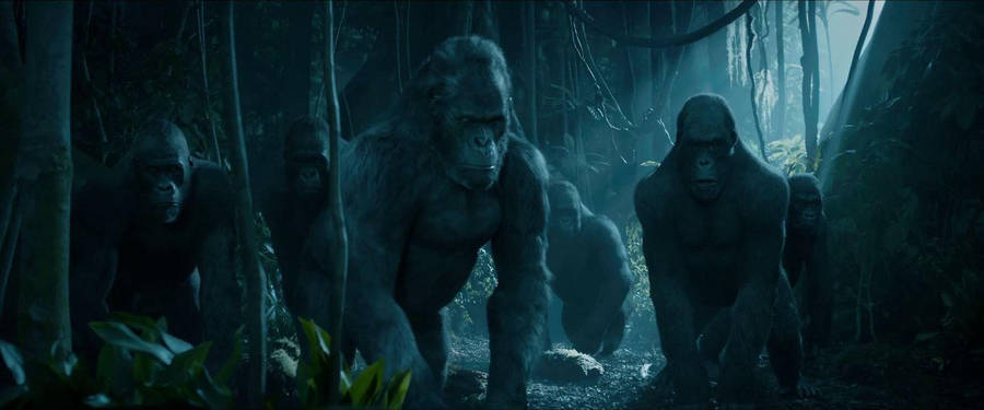 The Legend Of Tarzan Big Gorilla Family Wallpaper