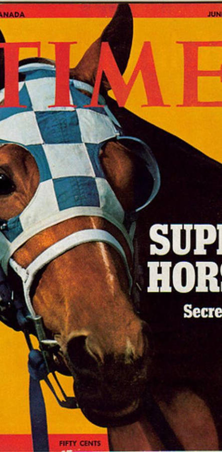 The Legendary Secretariat In Full Stride Wallpaper