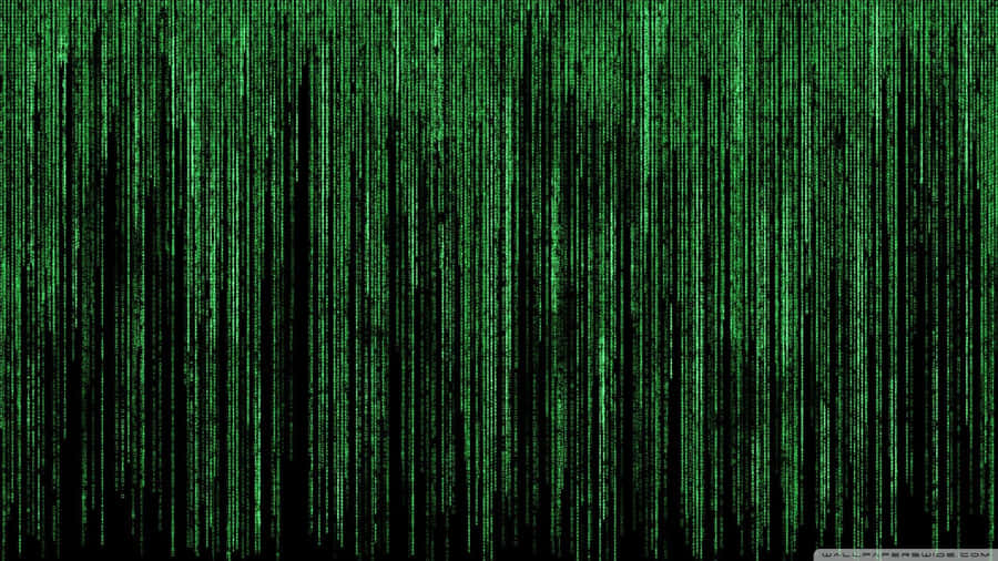 The Matrix Wallpaper Hd Wallpaper