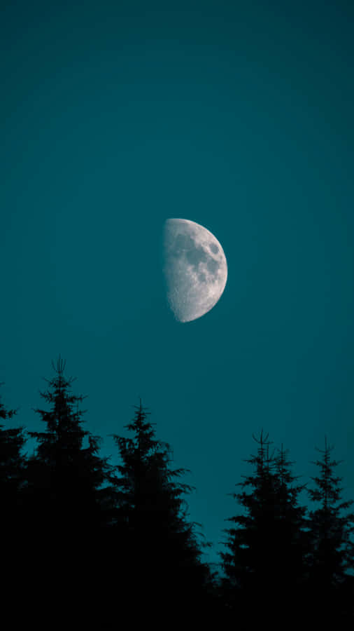 The Moon Silhouette Trees Iphone Wallpaper