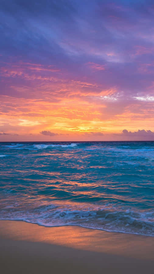 The Ocean Is A Beautiful Place To Explore Wallpaper