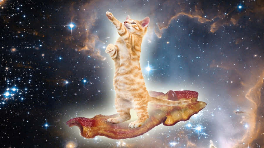 The Purr-fect Adventurers- Cats Explore The Unknown Depths Of Outer Space! Wallpaper