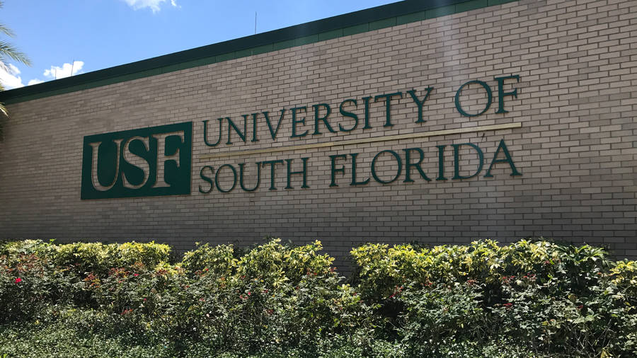 The Striking Signage Of The University Of South Florida. Wallpaper