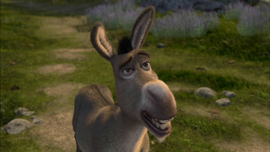 The Talking Donkey Wallpaper