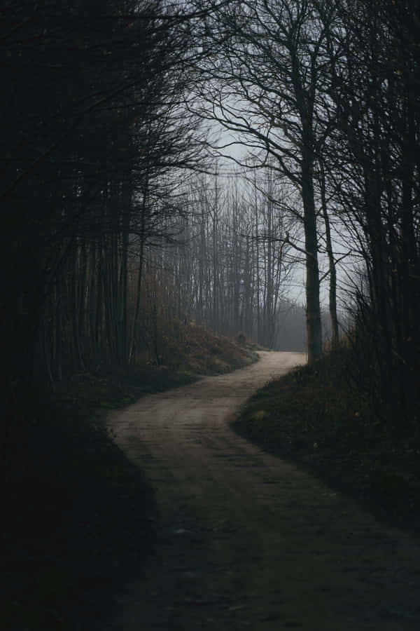 The Untamed Beauty Of Dark Nature. Wallpaper